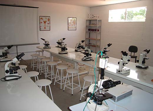 Laboratório-1